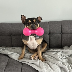 Fundraising Page: Mika LaVaque-Manty